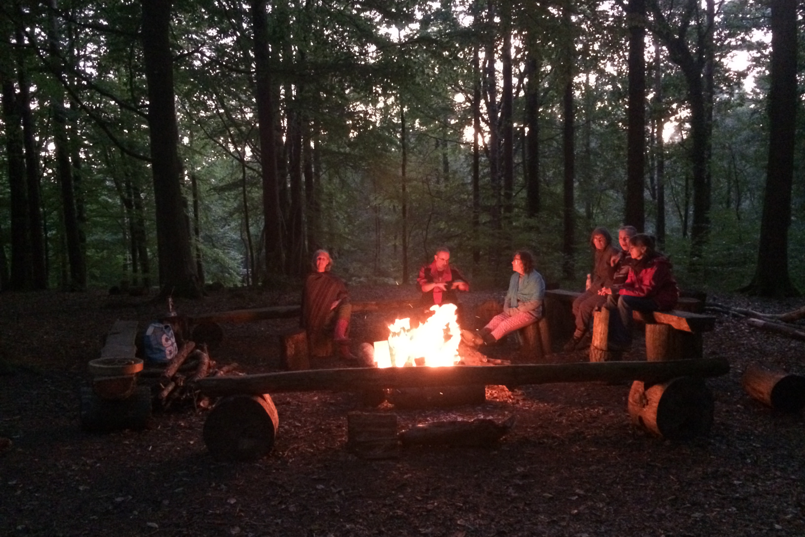 Our wild community around the fire