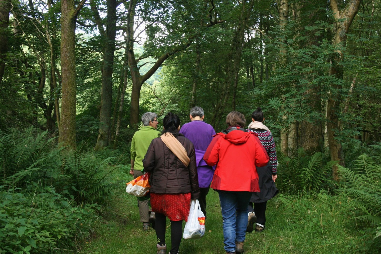 group returning through the woods ed group returning through the woods
