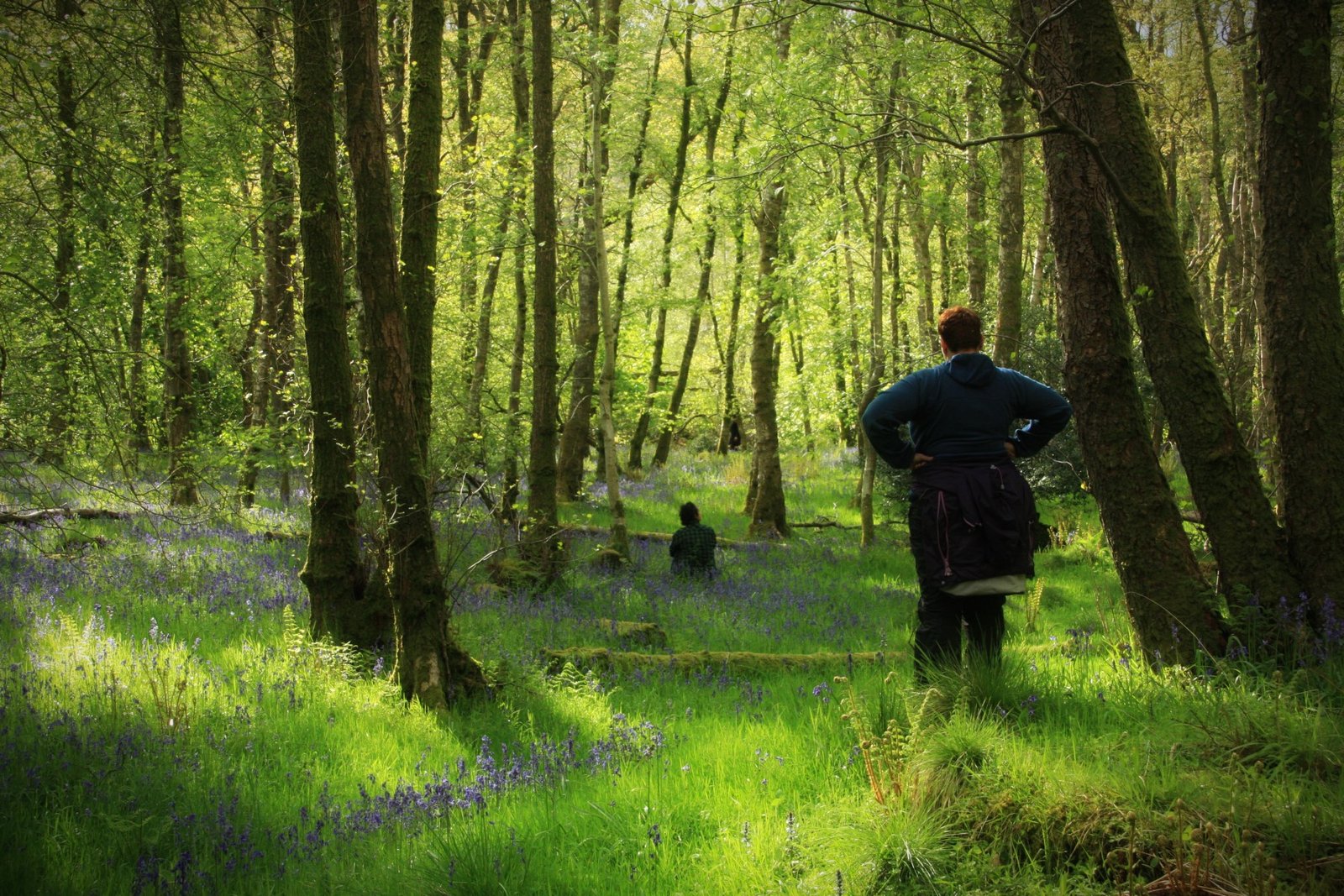 Become a wild therapist Become a wild therapist