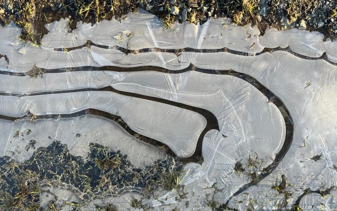 Gathering the Bones